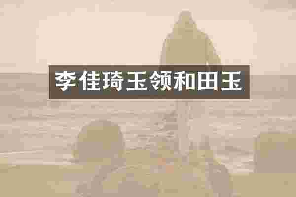 李佳琦玉领和田玉