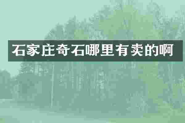 石家庄奇石哪里有卖的啊