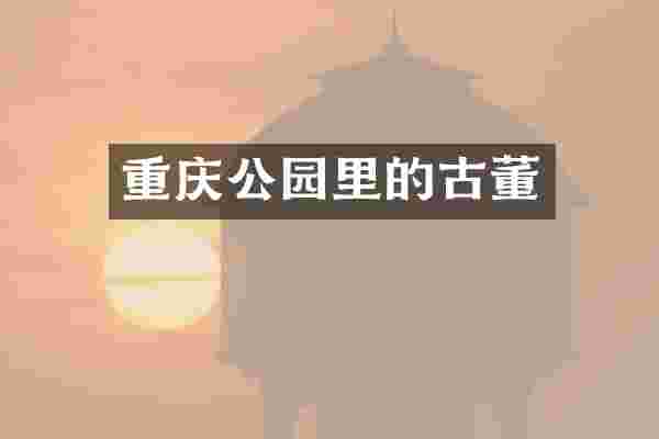 重庆公园里的古董