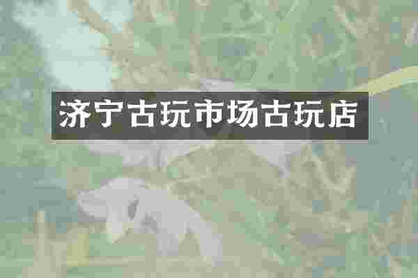 济宁古玩市场古玩店