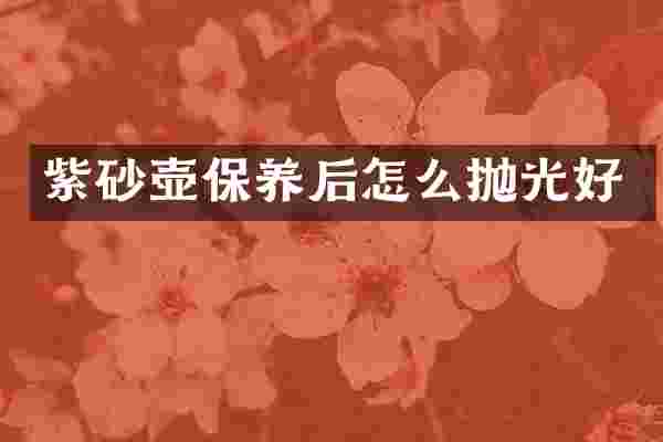 紫砂壶保养后怎么抛光好