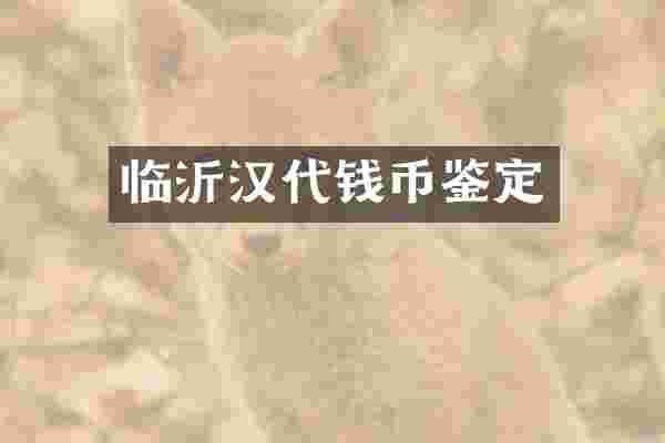 临沂汉代钱币鉴定
