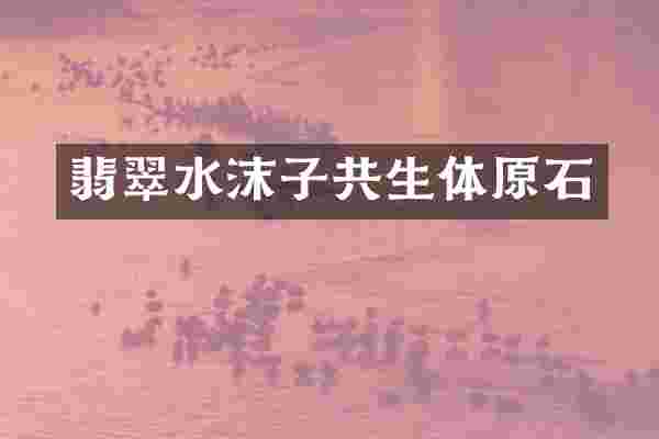 翡翠水沫子共生体原石