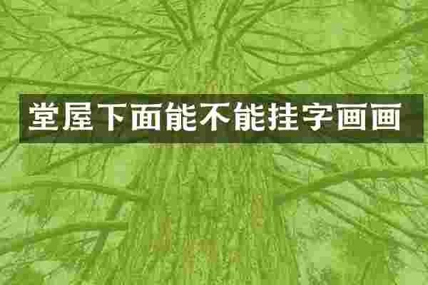 堂屋下面能不能挂字画画