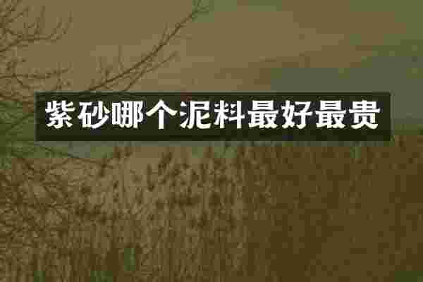紫砂哪个泥料最好最贵