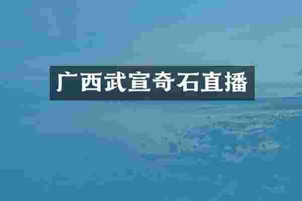 广西武宣奇石直播