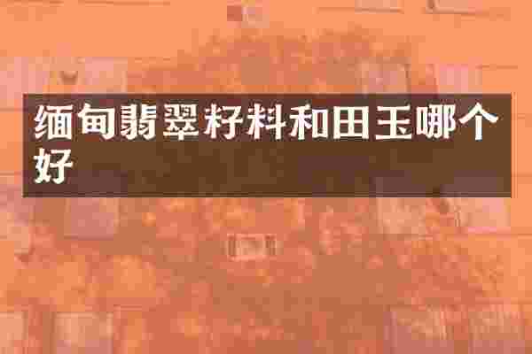 缅甸翡翠籽料和田玉哪个好