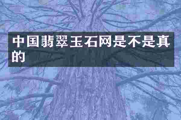 中国翡翠玉石网是不是真的