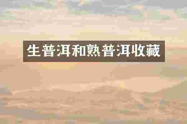 生普洱和熟普洱收藏