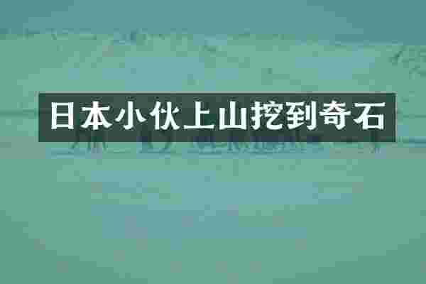 日本小伙上山挖到奇石