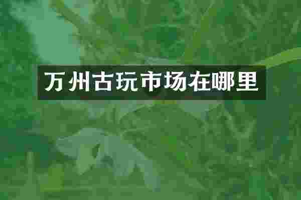 万州古玩市场在哪里