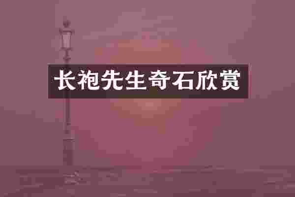 长袍先生奇石欣赏
