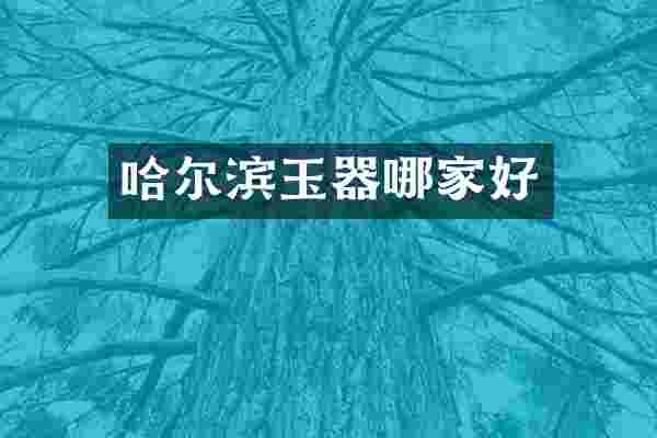 哈尔滨玉器哪家好