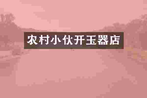 农村小伙开玉器店