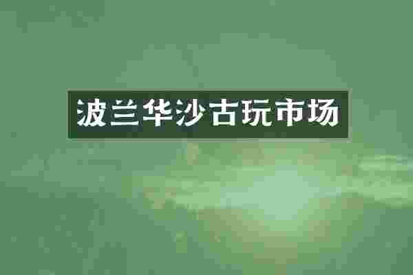 波兰华沙古玩市场