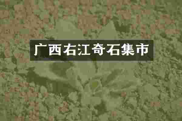 广西右江奇石集市