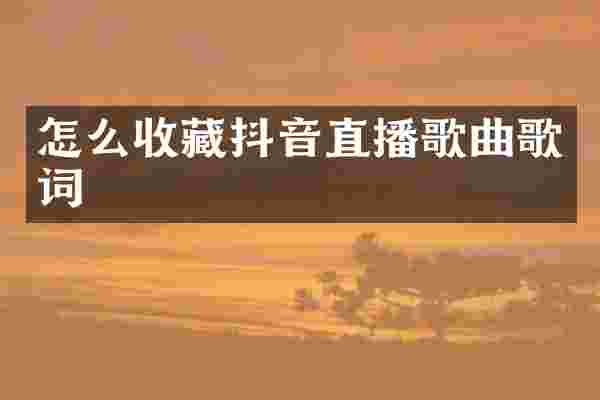 怎么收藏抖音直播歌曲歌词