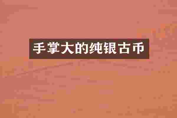 手掌大的纯银古币