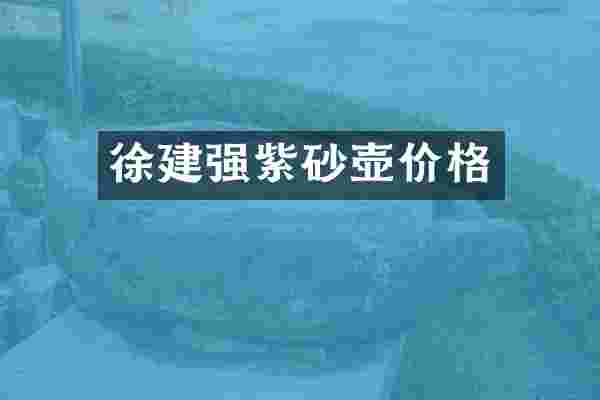 徐建强紫砂壶价格