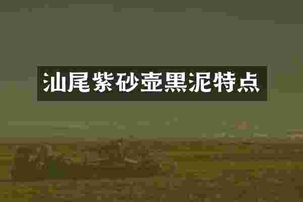 汕尾紫砂壶黑泥特点