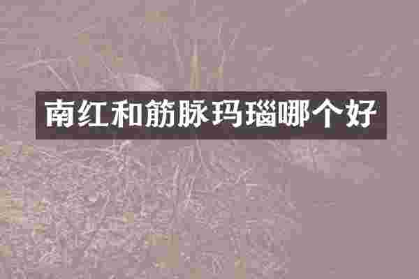 南红和筋脉玛瑙哪个好