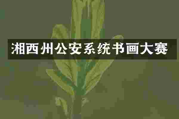 湘西州公安系统书画大赛