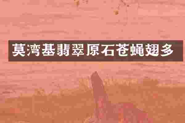 莫湾基翡翠原石苍蝇翅多