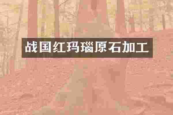 战国红玛瑙原石加工