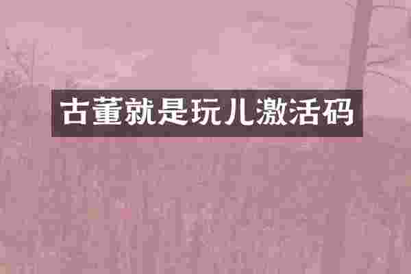 古董就是玩儿激活码