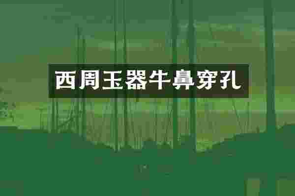 西周玉器牛鼻穿孔
