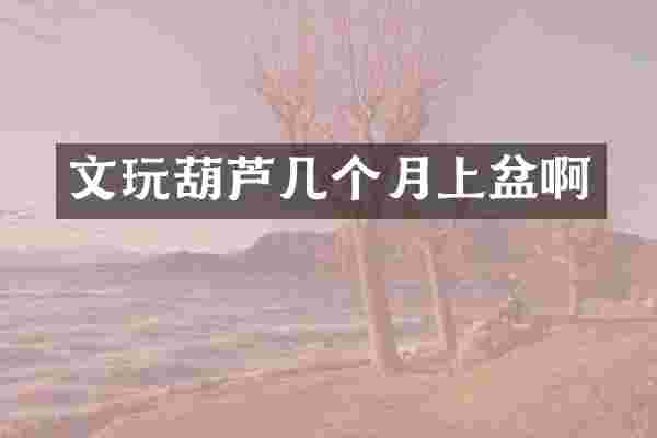 文玩葫芦几个月上盆啊