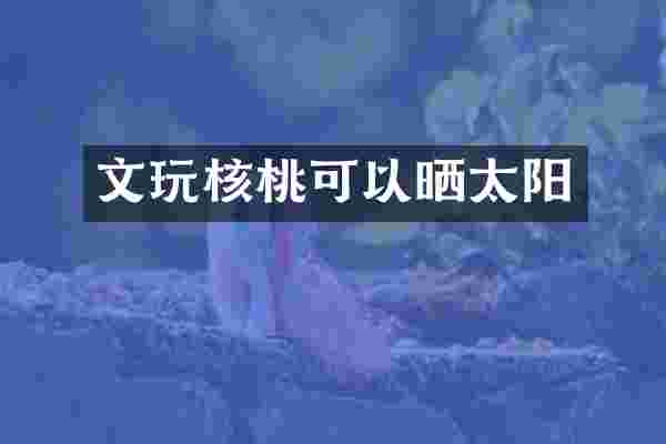 文玩核桃可以晒太阳