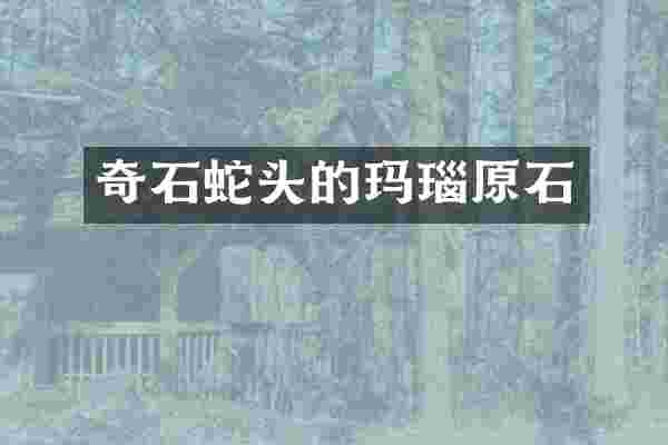 奇石蛇头的玛瑙原石