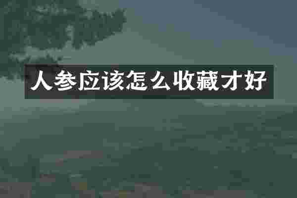 人参应该怎么收藏才好