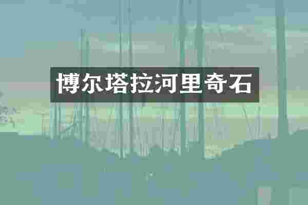 博尔塔拉河里奇石