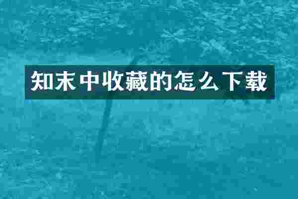 知末中收藏的怎么下载