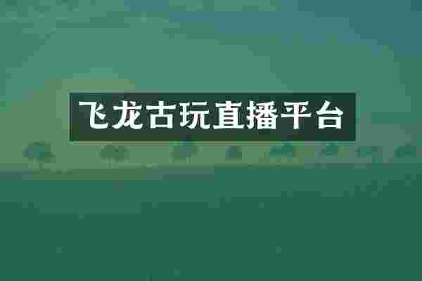 飞龙古玩直播平台