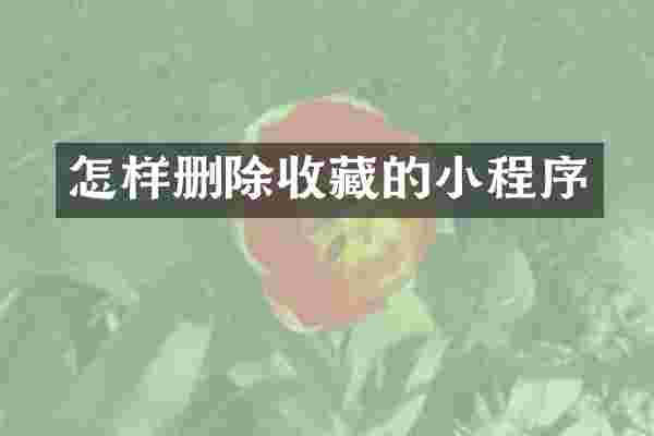 怎样删除收藏的小程序