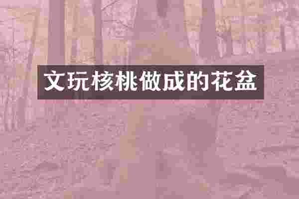 文玩核桃做成的花盆