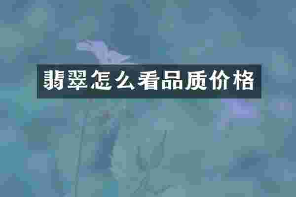 翡翠怎么看品质价格