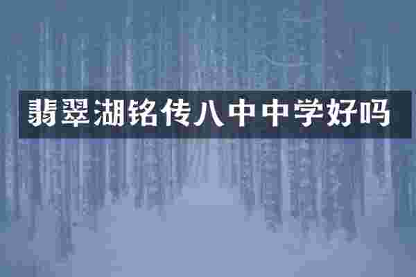 翡翠湖铭传八中中学好吗