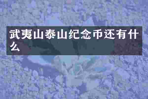 武夷山泰山纪念币还有什么