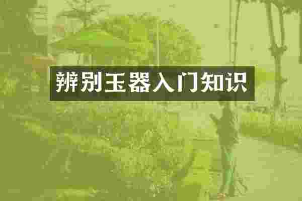 辨别玉器入门知识