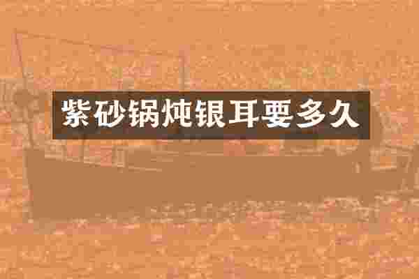 紫砂锅炖银耳要多久