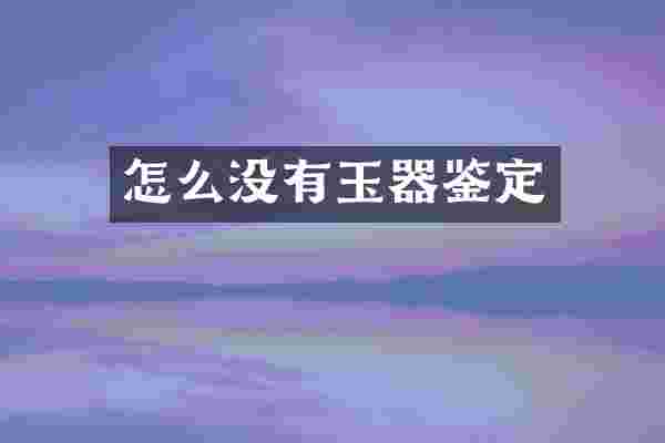 怎么没有玉器鉴定