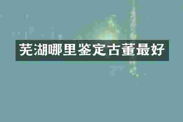 芜湖哪里鉴定古董最好