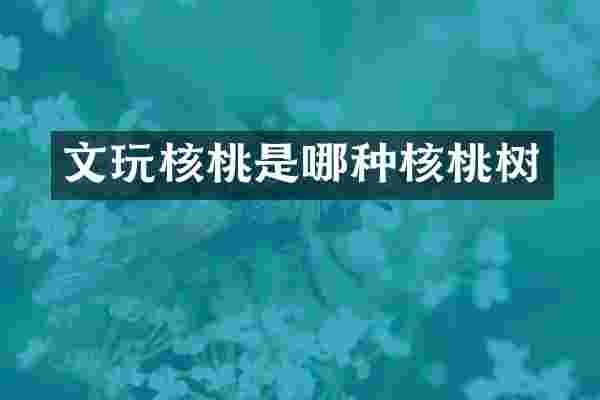 文玩核桃是哪种核桃树