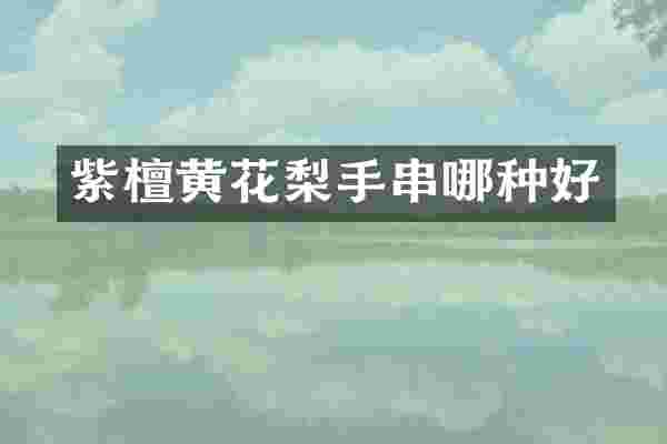 紫檀黄花梨手串哪种好