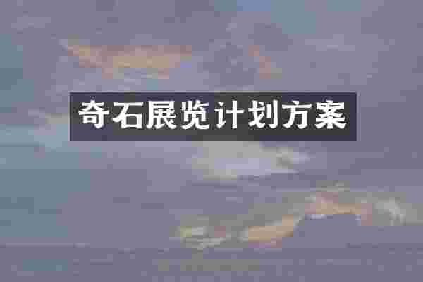 奇石展览计划方案