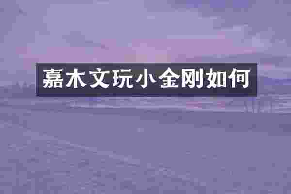 嘉木文玩小金刚如何